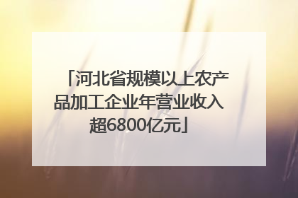 河北省规模以上农产品加工企业年营业收入超6800亿元