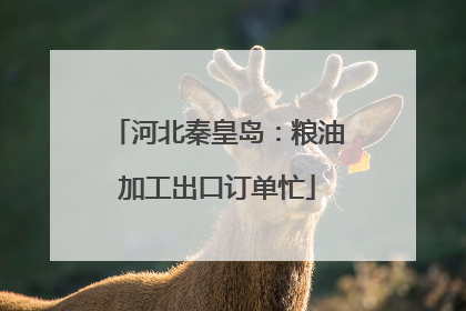 河北秦皇岛：粮油加工出口订单忙