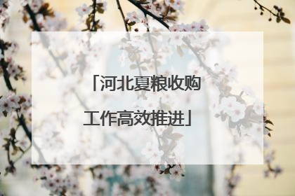 河北夏粮收购工作高效推进