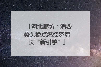 河北廊坊：消费势头稳点燃经济增长“新引擎”