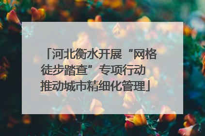 河北衡水开展“网格徒步踏查”专项行动 推动城市精细化管理