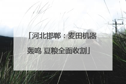 河北邯郸：麦田机器轰鸣 夏粮全面收割