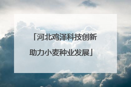 河北鸡泽科技创新助力小麦种业发展