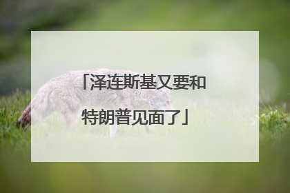 泽连斯基又要和特朗普见面了