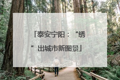 泰安宁阳：“绣”出城市新图景