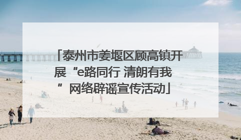 泰州市姜堰区顾高镇开展“e路同行 清朗有我”网络辟谣宣传活动