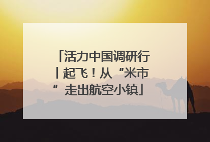活力中国调研行丨起飞！从“米市”走出航空小镇