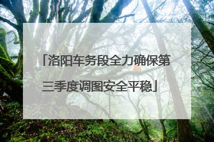 洛阳车务段全力确保第三季度调图安全平稳