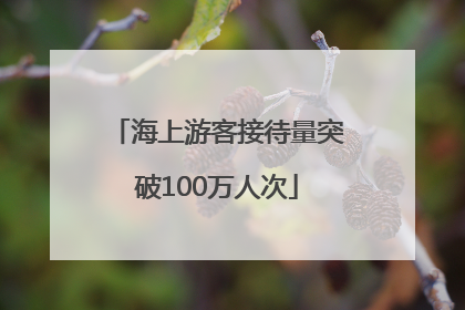 海上游客接待量突破100万人次