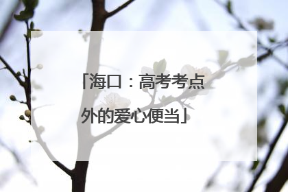 海口：高考考点外的爱心便当