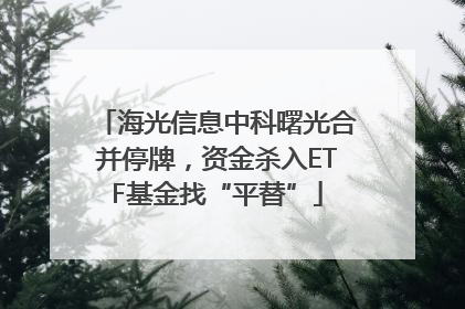 海光信息中科曙光合并停牌，资金杀入ETF基金找“平替”