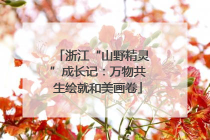 浙江“山野精灵”成长记：万物共生绘就和美画卷