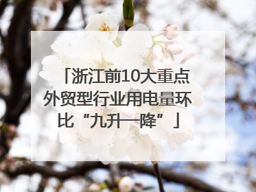 浙江前10大重点外贸型行业用电量环比“九升一降”