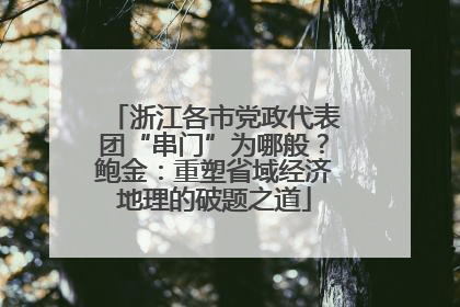 浙江各市党政代表团“串门”为哪般？鲍金：重塑省域经济地理的破题之道