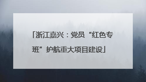 浙江嘉兴：党员“红色专班”护航重大项目建设