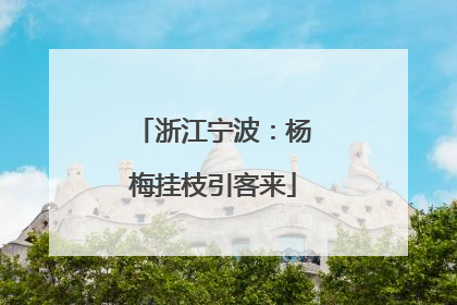 浙江宁波：杨梅挂枝引客来