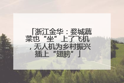 浙江金华：婺城蔬菜也“坐”上了飞机，无人机为乡村振兴插上“翅膀”