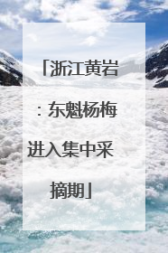 浙江黄岩：东魁杨梅进入集中采摘期