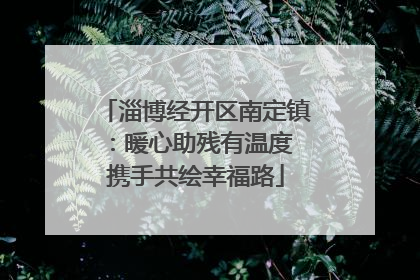 淄博经开区南定镇：暖心助残有温度 携手共绘幸福路