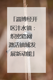 淄博经开区沣水镇：织密路网 激活镇域发展新动能