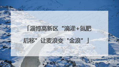 淄博高新区“滴灌+氮肥后移”让麦浪变“金浪”