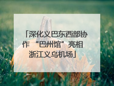 深化义巴东西部协作 “巴州馆”亮相浙江义乌机场