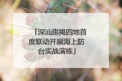 深汕惠揭四地首度联动开展海上防台实战演练