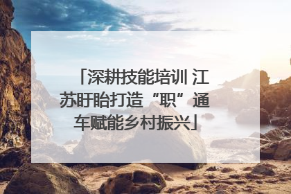 深耕技能培训 江苏盱眙打造“职”通车赋能乡村振兴