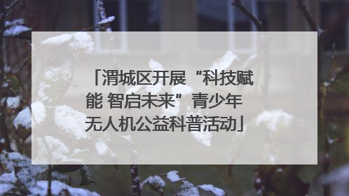 渭城区开展“科技赋能 智启未来”青少年无人机公益科普活动
