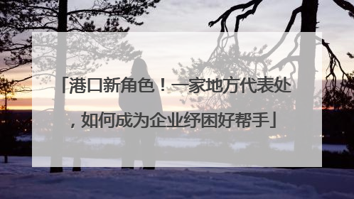 港口新角色！一家地方代表处，如何成为企业纾困好帮手