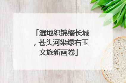 湿地织锦缀长城，苍头河染绿右玉文旅新画卷