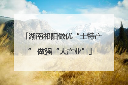 湖南祁阳做优“土特产” 做强“大产业”