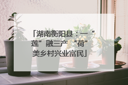 湖南衡阳县：一“莲”融三产 “荷”美乡村兴业富民