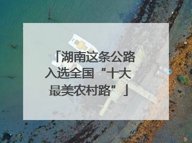 湖南这条公路入选全国“十大最美农村路”