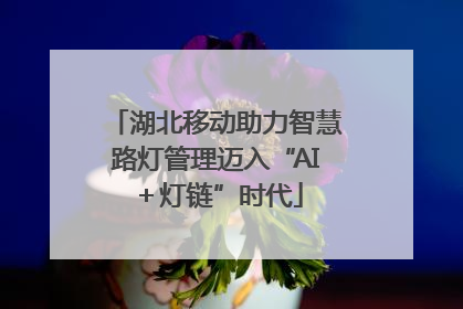 湖北移动助力智慧路灯管理迈入“AI＋灯链”时代