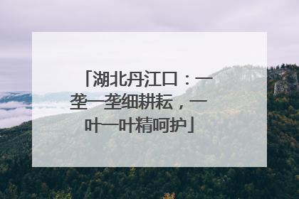 湖北丹江口：一垄一垄细耕耘，一叶一叶精呵护