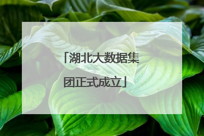 湖北大数据集团正式成立