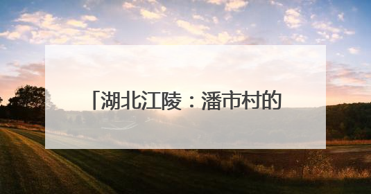湖北江陵：潘市村的香瓜为何这么甜？