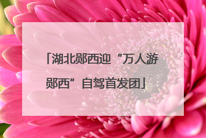 湖北郧西迎“万人游郧西”自驾首发团
