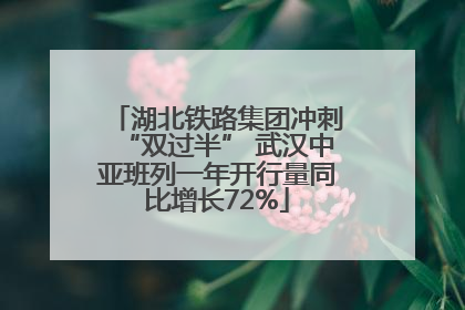 湖北铁路集团冲刺“双过半” 武汉中亚班列一年开行量同比增长72%
