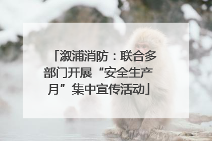 溆浦消防：联合多部门开展“安全生产月”集中宣传活动