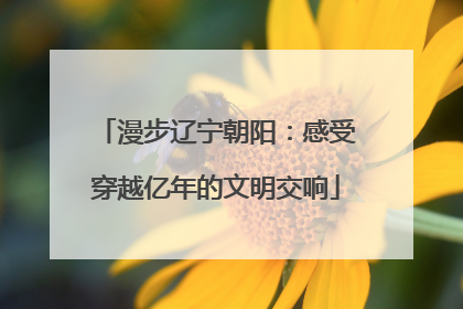 漫步辽宁朝阳：感受穿越亿年的文明交响