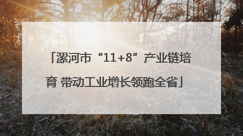漯河市“11+8”产业链培育 带动工业增长领跑全省