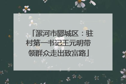 漯河市郾城区：驻村第一书记王元明带领群众走出致富路