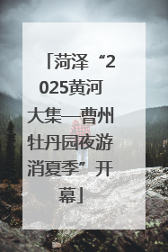 菏泽“2025黄河大集—曹州牡丹园夜游消夏季”开幕