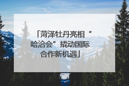 菏泽牡丹亮相“哈洽会”撬动国际合作新机遇