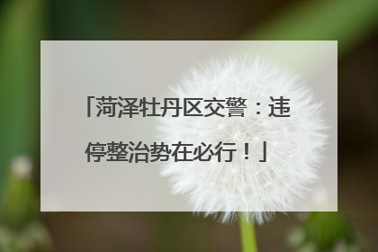 菏泽牡丹区交警：违停整治势在必行！