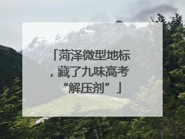 菏泽微型地标，藏了九味高考“解压剂”