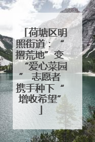 荷塘区明照街道：“撂荒地”变“爱心菜园” 志愿者携手种下“增收希望”