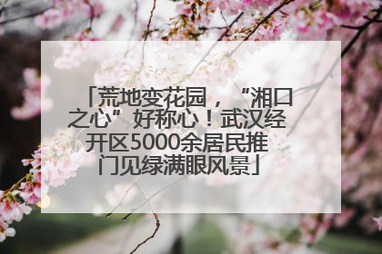 荒地变花园，“湘口之心”好称心！武汉经开区5000余居民推门见绿满眼风景